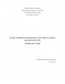 Ensayo condiciones ambientales en las cuales se supone que apareció la vida