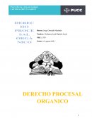 Derecho procesal orgánico