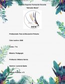 PEDAGOGIA TRABAJO PRACTICO N°2