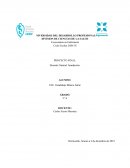 Desastre Natural: Inundación