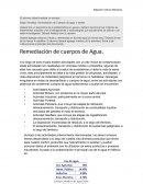 Remediación de Cuerpos de agua o suelos