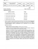 Propuestas de negocios: Bolsas a base de cáscara de plátano