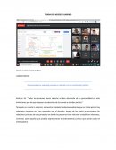 TEORIA DEL NEGOCIO JURIDICO