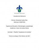 Actividad 1. Reseña “Cazadores de microbios”