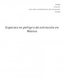 Especies en peligro de extinción en México