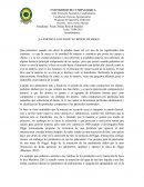 Ensayo sobre bosson de higgs