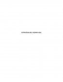 Ensayo libro estrategia del oceano azul