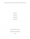 Causas y Consecuencias negativas de las manifestaciones sociales