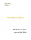 INFORME EJECUTIVO SOBRE LOS ALCANCES DEL PROCESO COACHING A LA GERENCIA GENERAL EMPRESA: FERRE MANGUERA Y CORREAS GUAYANA C.A