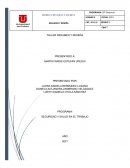 RESUMEN INDIVIDUAL LIZETH OYOLA