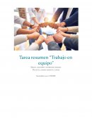 Tarea resumen “Trabajo en equipo”