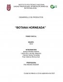 Publicidad, campaña publicitaria