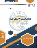 Cap 9 Administración de PYMES