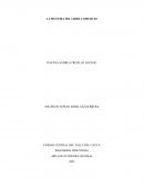 ENSAYO DEL DOCUMENTAL: LA MENTIRA DEL LIBRE COMERCIO