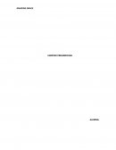 Amazing grace libertad prefabricada