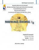Programa de Formación: Actividad Física y Salud . Morfología Funcional II
