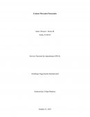 Evaluar Mercados Potenciales