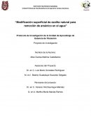 Modificación superficial de zeolita natural para remoción de arsénico en el agua