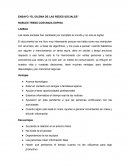 ENSAYO “EL DILEMA DE LAS REDES SOCIALES”