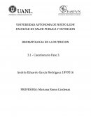 BROMATOLOGIA EN LA NUTRICION