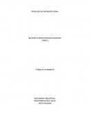 RESILIENCIA ORGANIZACIONAL. MODELOS GERENCIALES