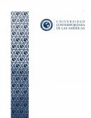 Ensayo modelos contemporaneos en Educación