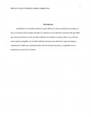 PROYECTO DE INVERSIÓN MEDIO AMBIENTAL