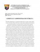 Sub-proyecto: Gerencia y administración pública