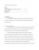 Contaminación de Reynosa