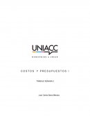 Costos y presupuestos empresa “AviBa