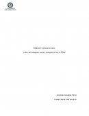 Migración Latinoamericana: Labor del trabajador social y enfoques de ley en Chile