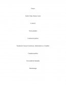 ¿Quién defiende a Colombia contra este gobierno?