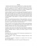 Comunicación Eficaz de los Gerentes en las Organizaciones