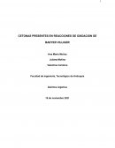 CETONAS PRESENTES EN REACCIONES DE OXIDACION DE BAEYER VILLIGER