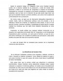 Producción y venta del tomate riñón