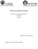Capitulo 2: ¿Que es el desarrollo sustentable?