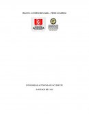 PRÁCTICA COMPLEMENTARIA – PÉNDULO SIMPLE