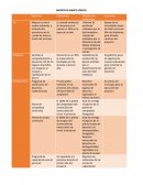 MATRIZ DE MARCO LOGICO