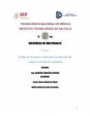 Ensayo Esfuerzo Termico