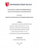 Matrices Para El Desarrollo De Las Estrategias Organizacionales