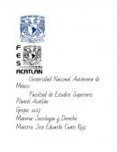 El señor de las moscas