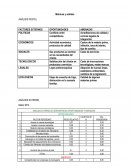 Matrices y análisis ANÁLISIS PESTEL