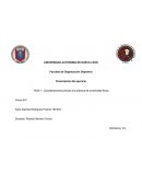 Informe de los protocolos de esfuerzo en laboratorio en tapiz rodante y bicicleta