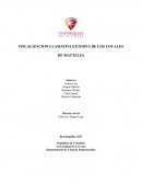 VISUALIZACION LLAMATIVA EXTERNA DE LOS LOCALES DE MATTELSA