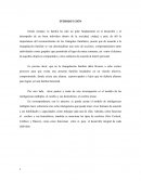 Procesos Fundamentales del Triángulo Familiar