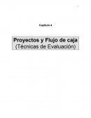 Proyectos y Flujo de caja (Técnicas de Evaluación)