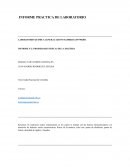 Practica propiedades fisicas UNAL