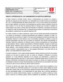 ENSAYO: EXPERIENCIAS DE LOS CONSUMIDORES EN NUESTRAS EMPRESAS