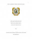 MANUAL INFORMATIVO SOBRE AUTOMÓVILES SOLARES