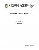 Práctica No. 9 Herencia Laboratorio de biología